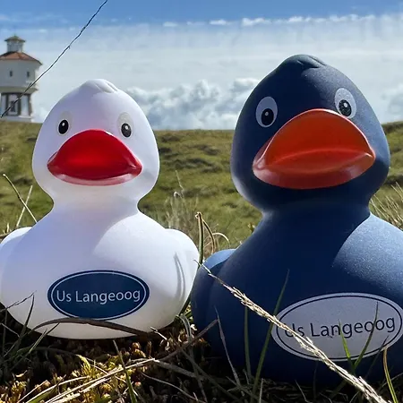 Twee Strandloopers 公寓 *