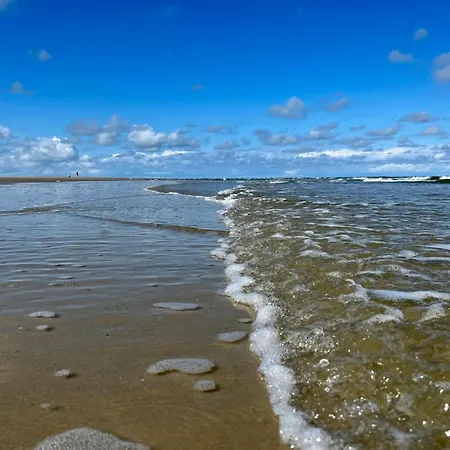 Twee Strandloopers *